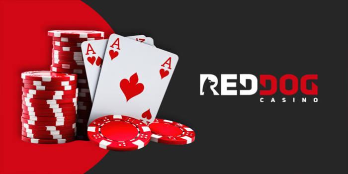Trik Jitu Dapatkan Jackpot Gede Bermain Casino Red Dog
